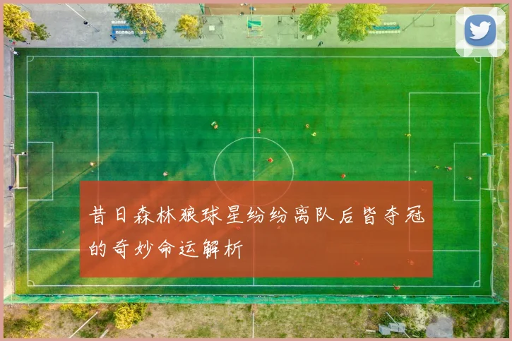 昔日森林狼球星纷纷离队后皆夺冠的奇妙命运解析