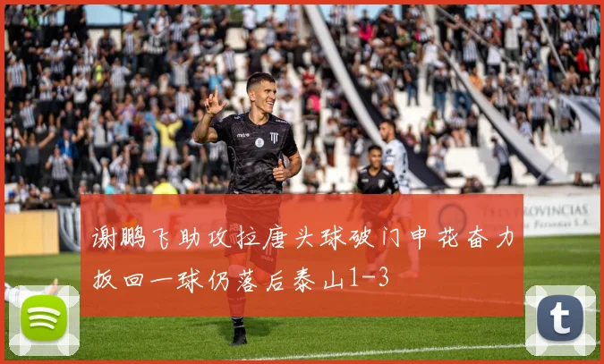 谢鹏飞助攻拉唐头球破门申花奋力扳回一球仍落后泰山1-3